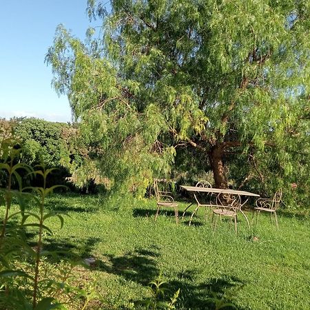 Agriturismo Podere Gianmaria Castiglioncello Exteriér fotografie