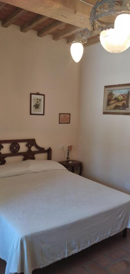 Agriturismo Podere Gianmaria Castiglioncello Exteriér fotografie