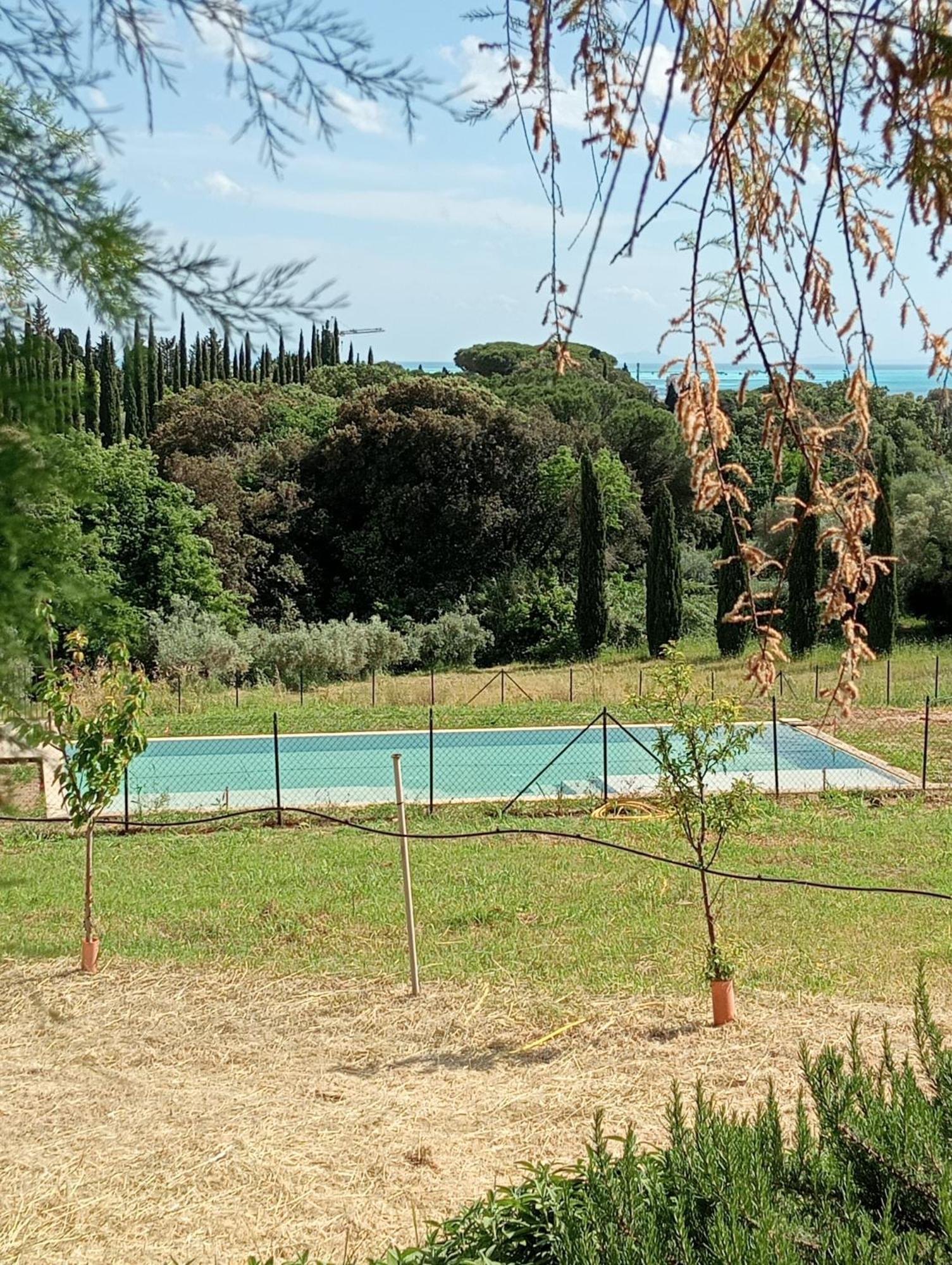 Agriturismo Podere Gianmaria Castiglioncello Exteriér fotografie
