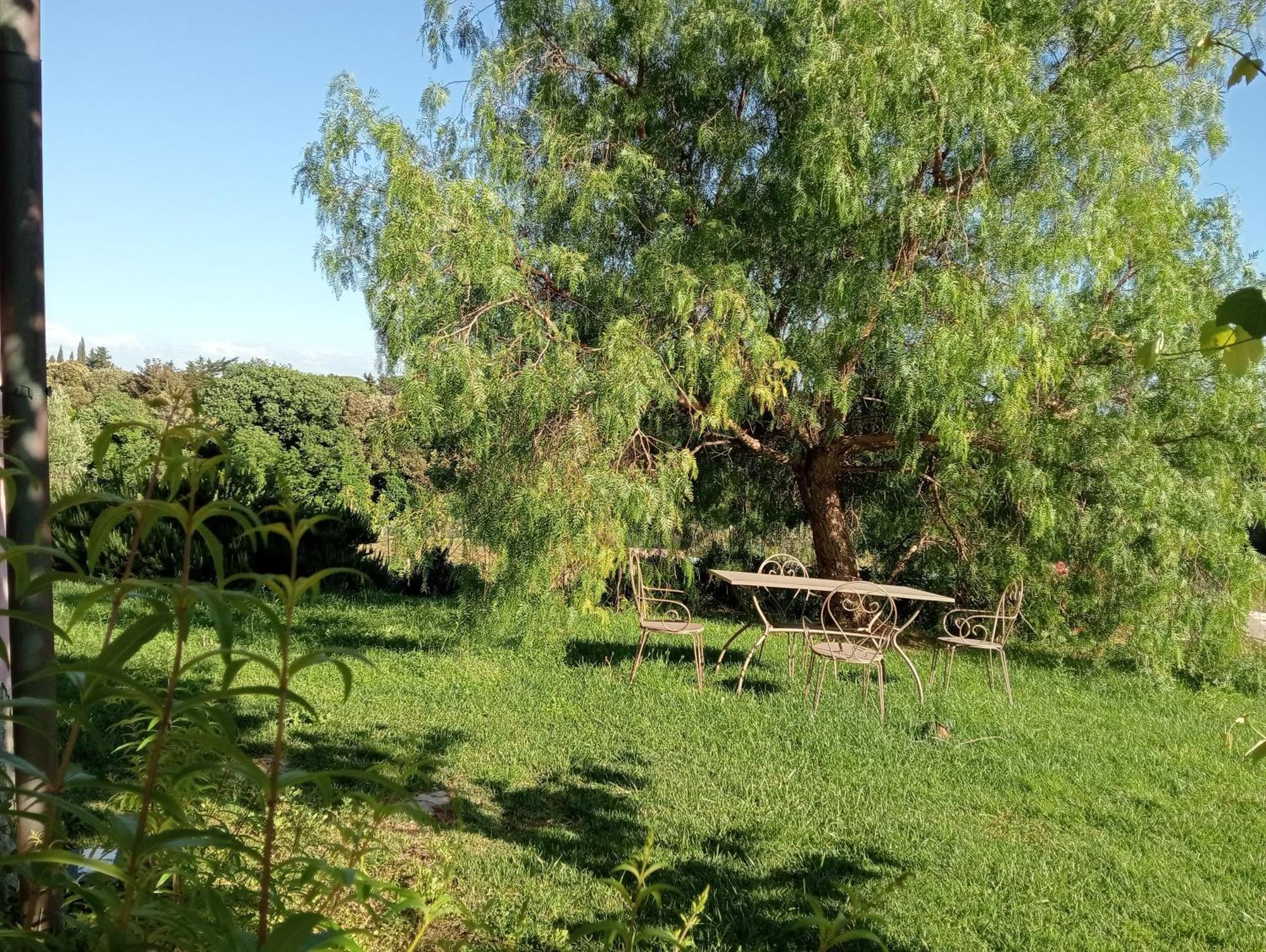 Agriturismo Podere Gianmaria Castiglioncello Exteriér fotografie